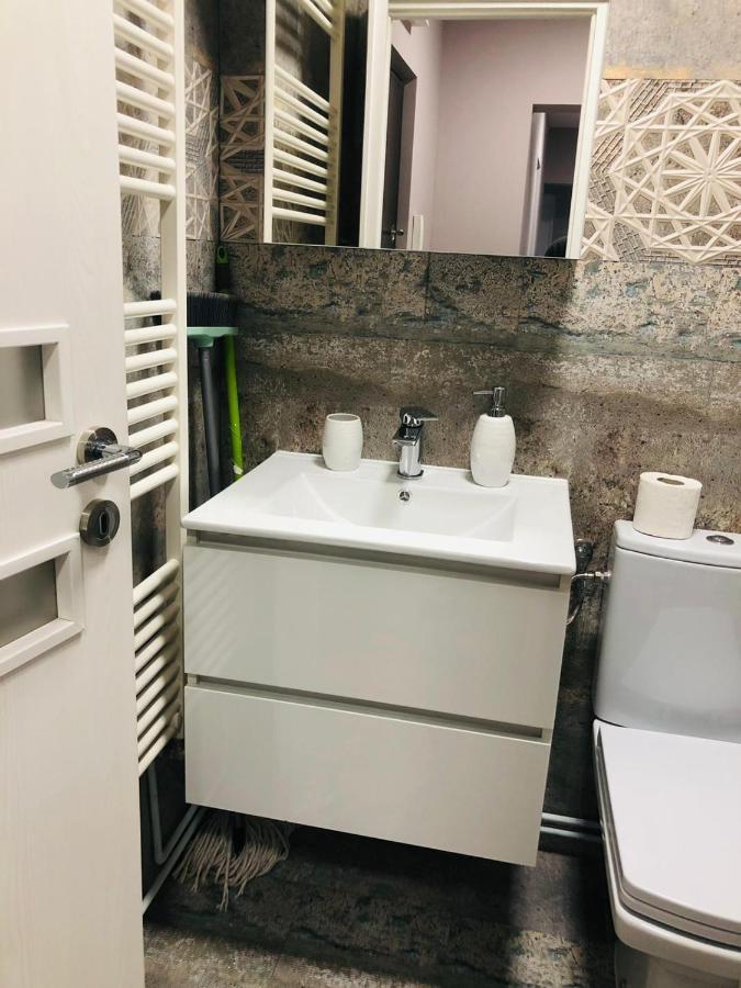 Sighisoara Apartment エクステリア 写真