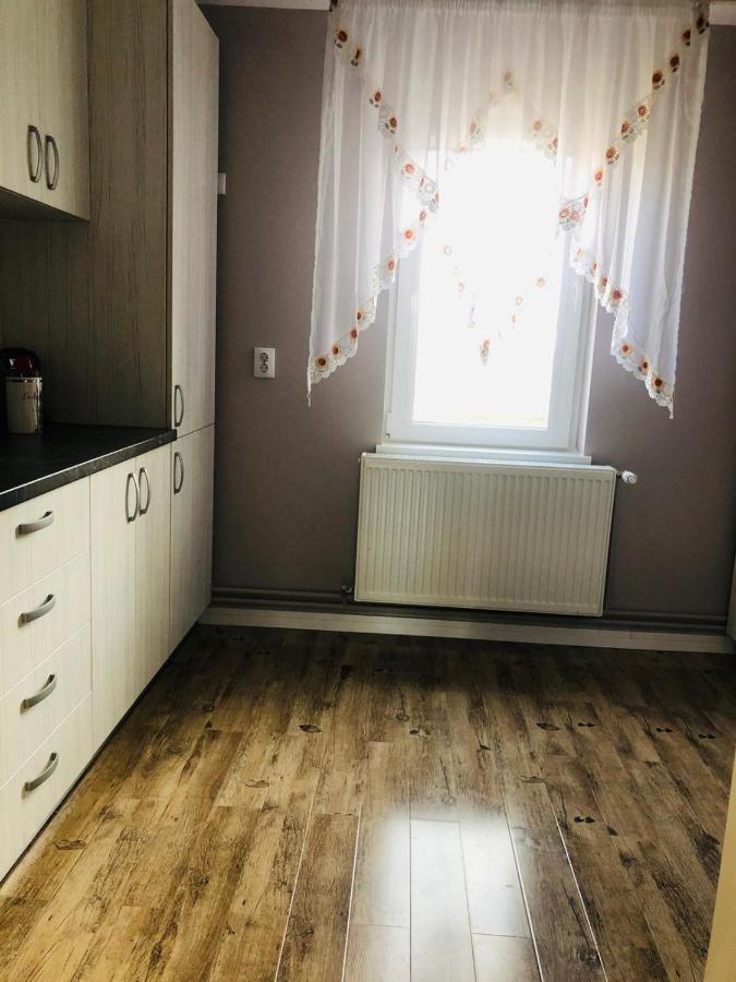 Sighisoara Apartment エクステリア 写真