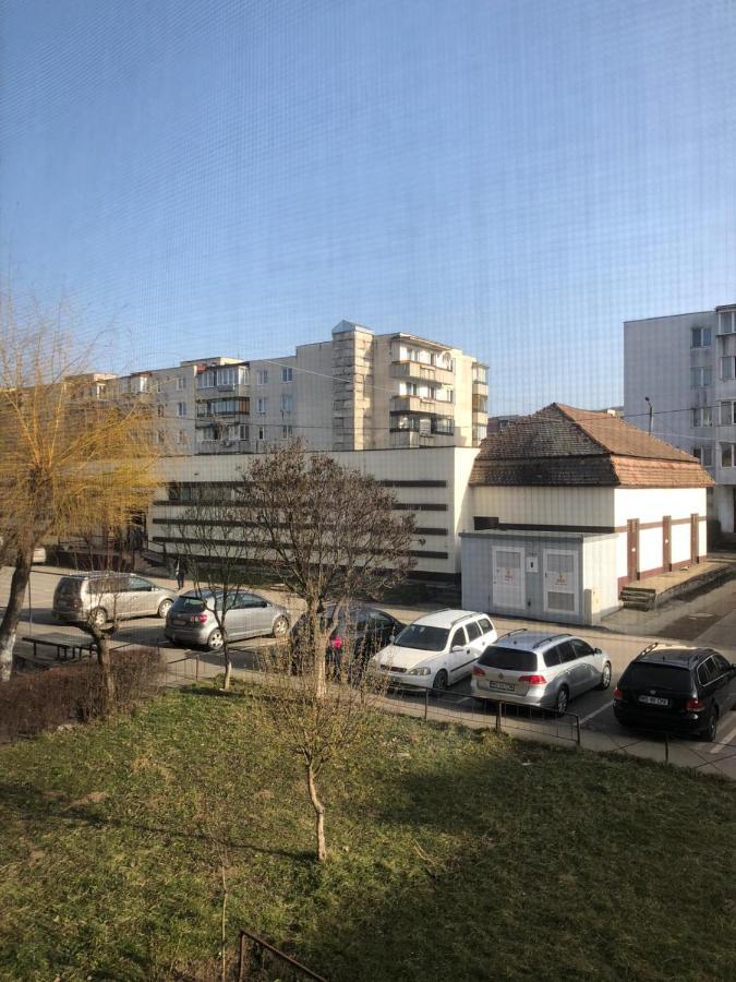 Sighisoara Apartment エクステリア 写真