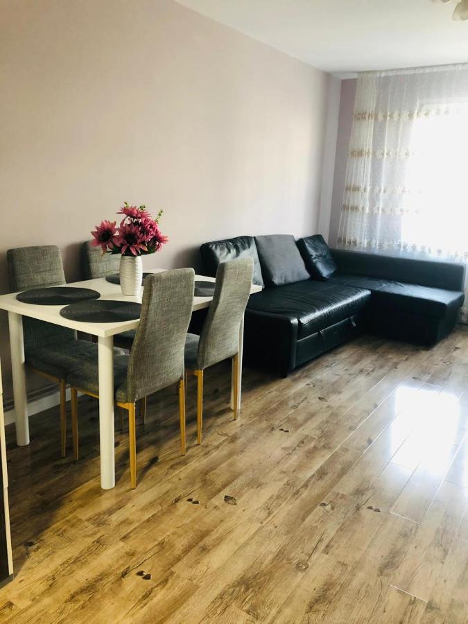 Sighisoara Apartment エクステリア 写真