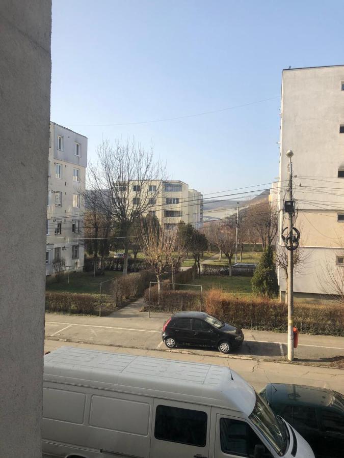 Sighisoara Apartment エクステリア 写真