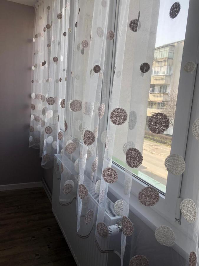 Sighisoara Apartment エクステリア 写真